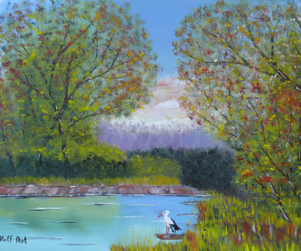 Tó az erdő közepén